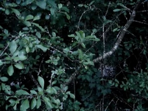 Encore nos conneries