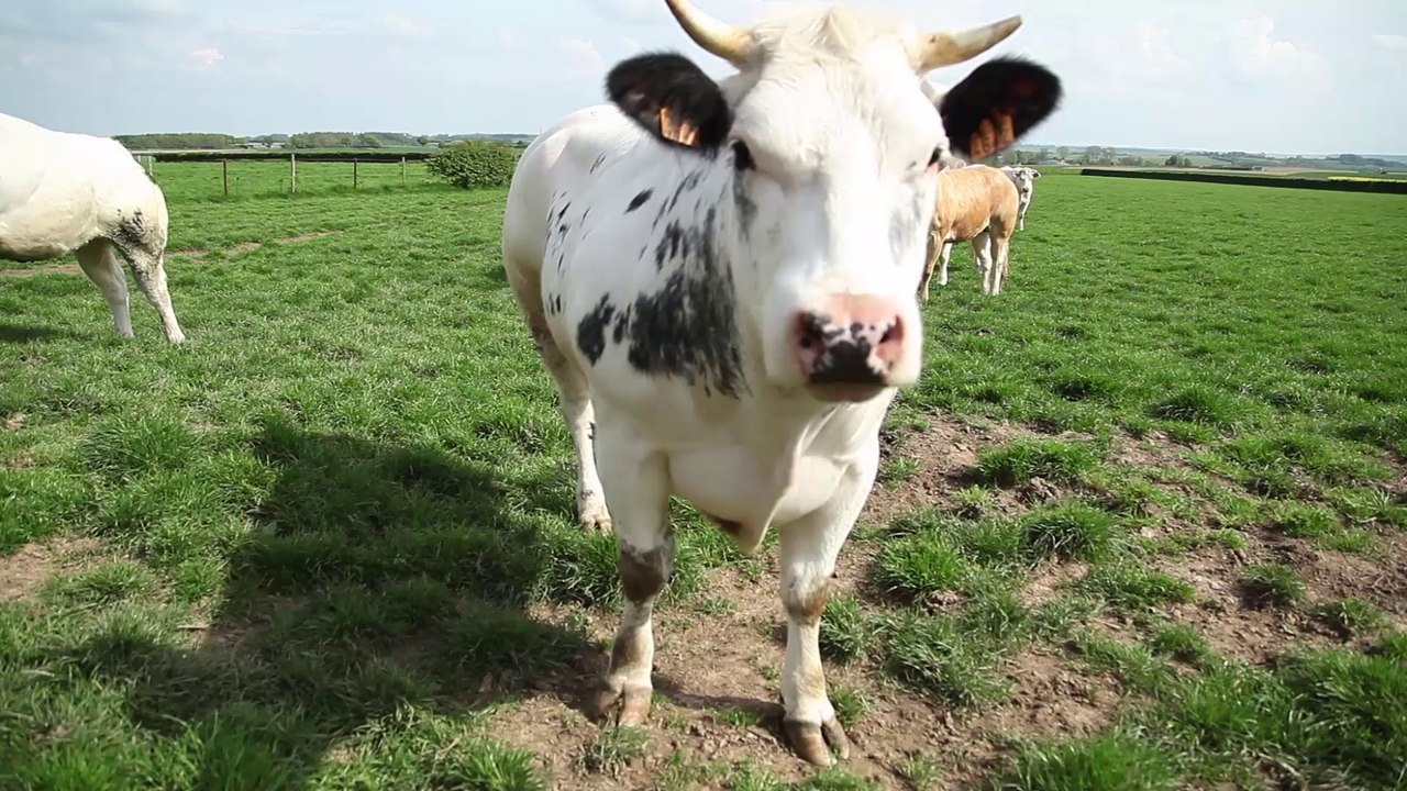 sequence_clip_outrebon_1