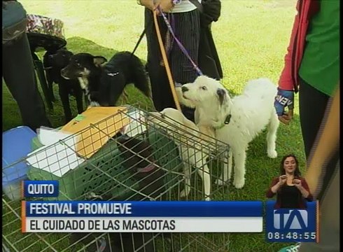 Feria de juguetes, expomascotas y teatro para este fin de semana