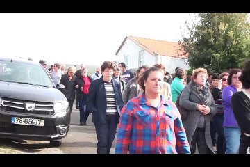 VACA ENFEITADA BODO DAS ALMAS VIDEO TOTAL MUITO EM BREVE