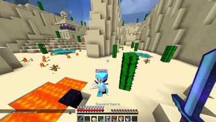 Viele Informationen - Minecraft 1vs1 [#15 - 60 FPS] | PapierLP