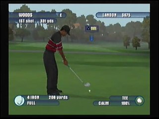 Tiger Woods PGA Tour 2003 (PS2) Pebble