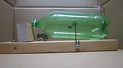 Funny Homemade Rat Trap Video