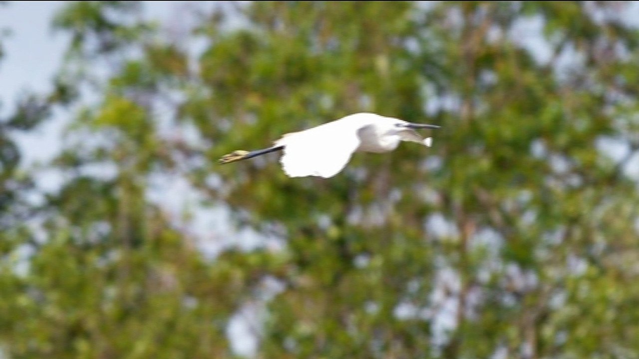 Inauguration des aménagements de l'étang de Pontoux