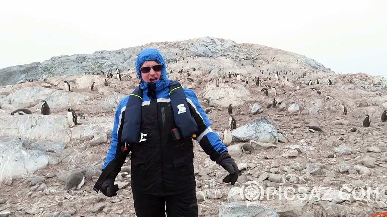 Opera singer scare penguins