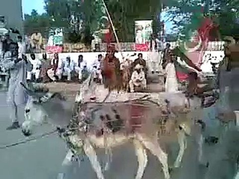 نواز شریف تم پیسے کما سکتے ہو عزت نہیں اب تو ہماری جان چھوڑ دو
