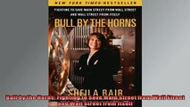 EBOOK ONLINE  Bull by the Horns Fighting to Save Main Street from Wall Street and Wall Street from  DOWNLOAD ONLINE