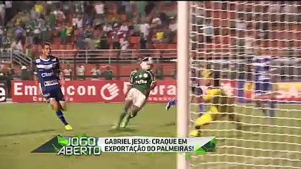 Gabriel Jesus: craque em exportação do Palmeiras