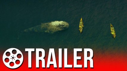 W Samym Sercu Morza (Moby Dick) - TRAILER HD