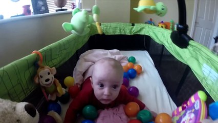 Babysitting dog turns this baby s crib into a ball pit