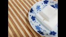How To Make Milk Coconut Pudding（鮮奶椰汁糕）~ funfunyin Cooking 25