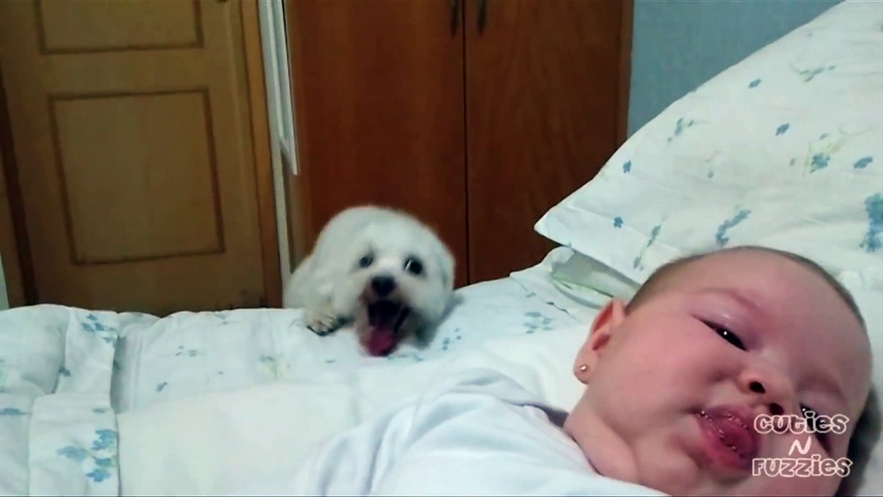 Bouncing Puppy Loves Cute Baby
