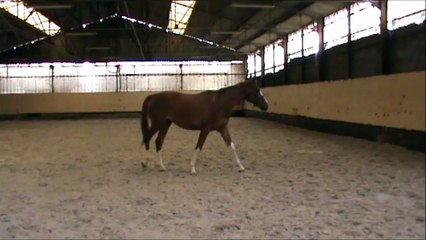 20160520 Djarrouskya Sandillon