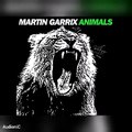 Martin Garrix - Animals