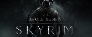 The Elder Scrolls V: Skyrim - Bug gigante