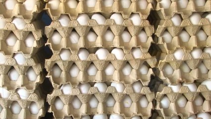 En la canasta básica descartan incremento a los huevos