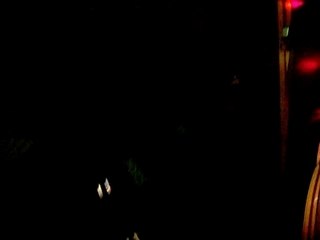 Anti-Sonar Happy Family