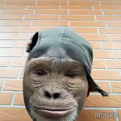 Chú khỉ này ngộ nghĩnh quá