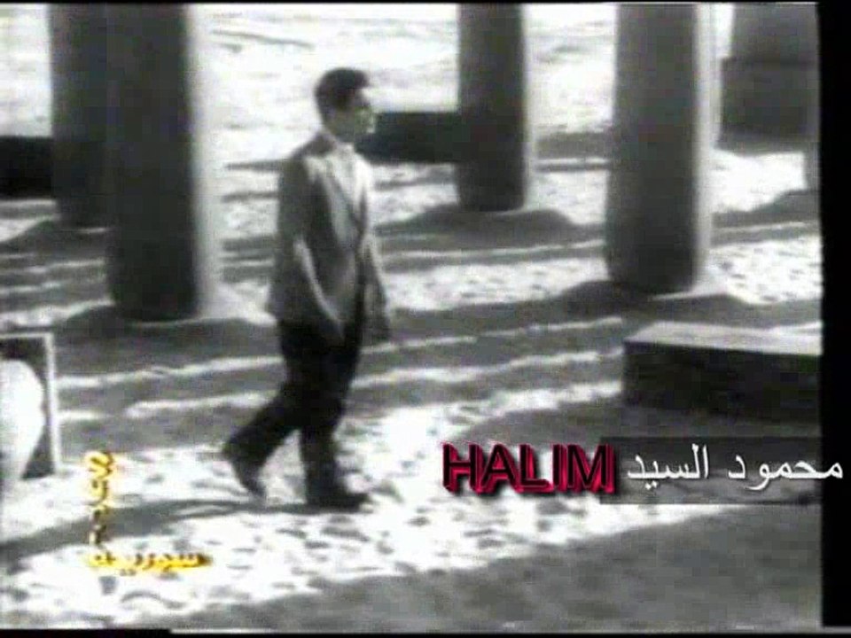 HALIM 12