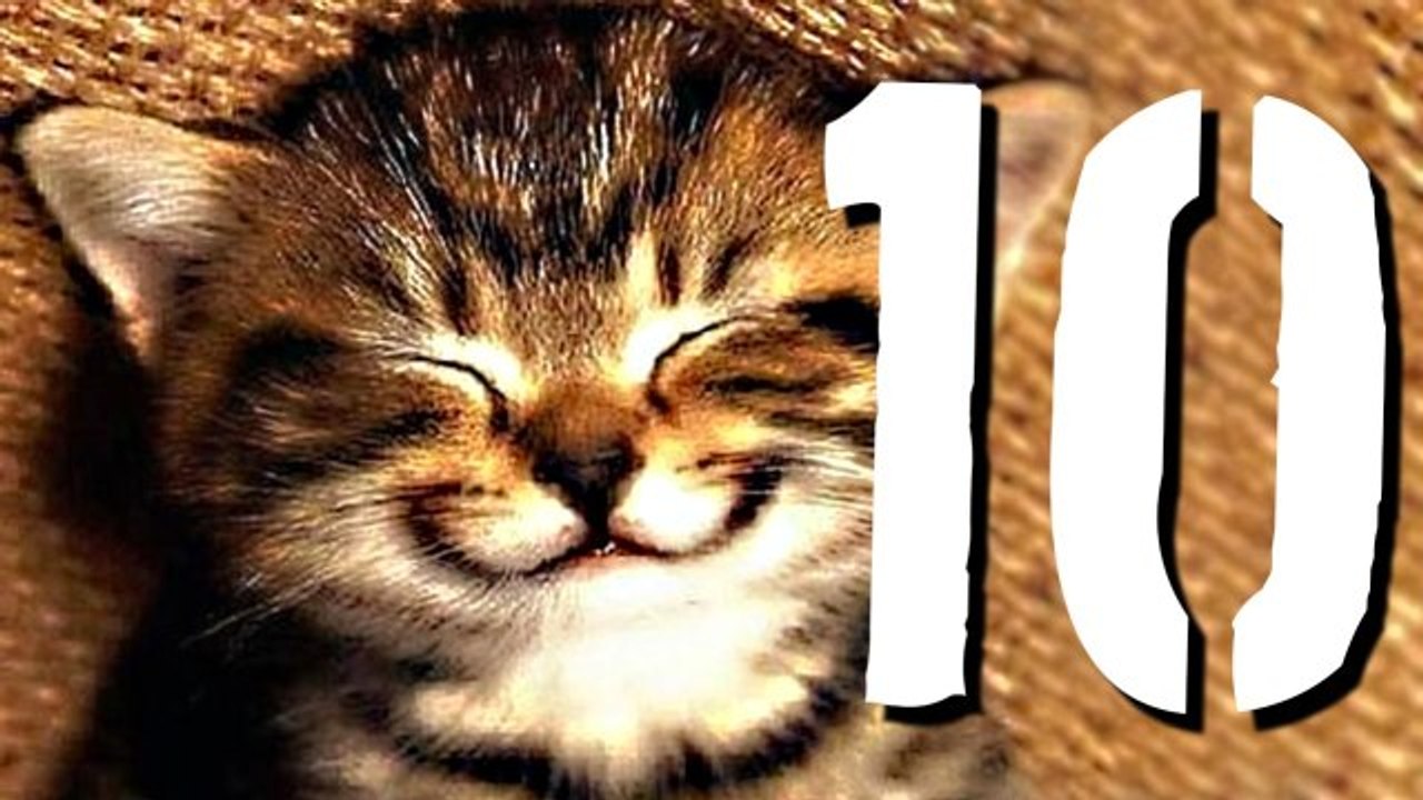 10 faktów, po których się uśmiechniesz TOPOWA DYCHA]