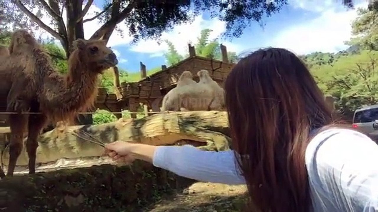 Senangnya El Barack Alexander Maen Ke Kebun Binatang Sama Mama Jessica Iskandar