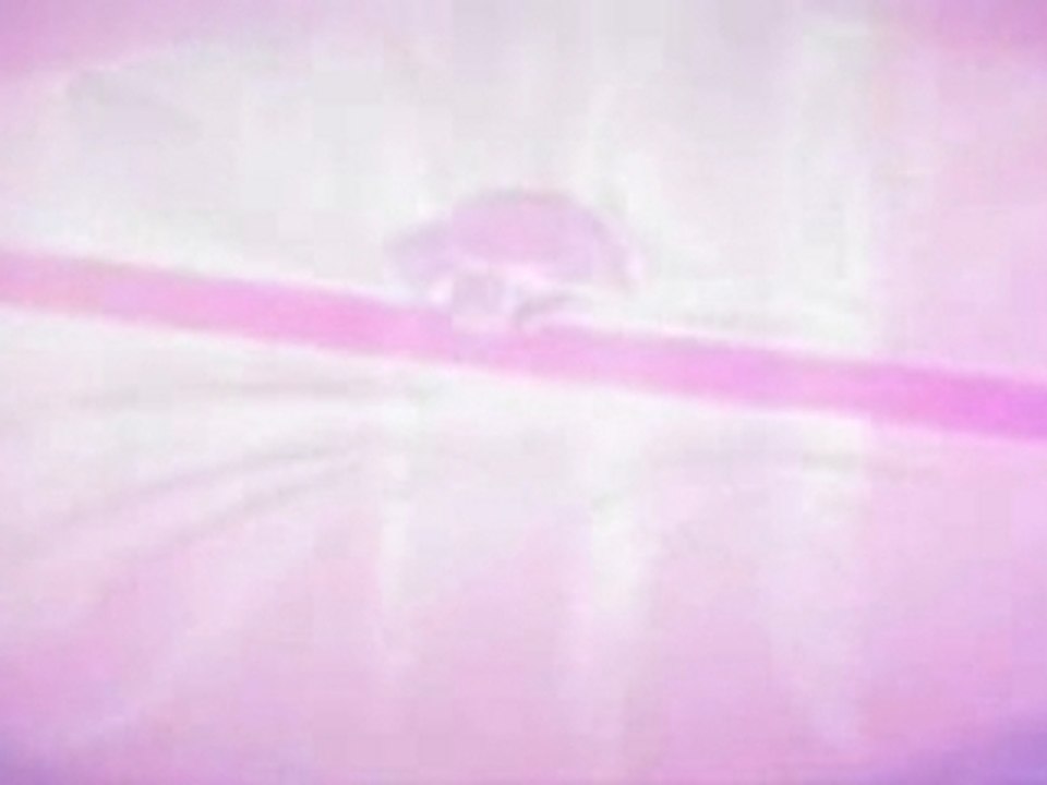 Tsubasa Yume