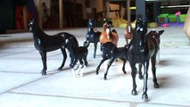 Breyer Stablemates Part 2- A New Home, New Horses, and New Problems