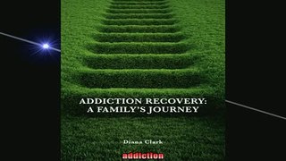 READ book  Addiction Recovery A Familys Journey Online Free
