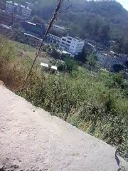 hotel booking website in shimla.http://yupstrips.com/listing.php?g=Shimla