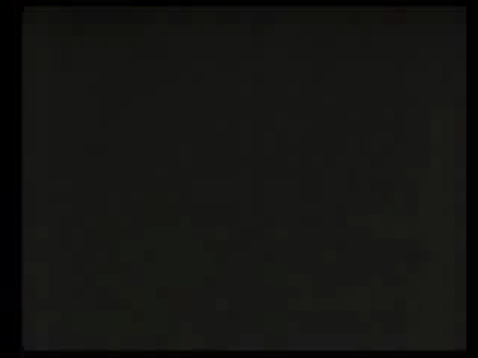 GOLDEN EGGS トレンドハンティング(ネルソン）