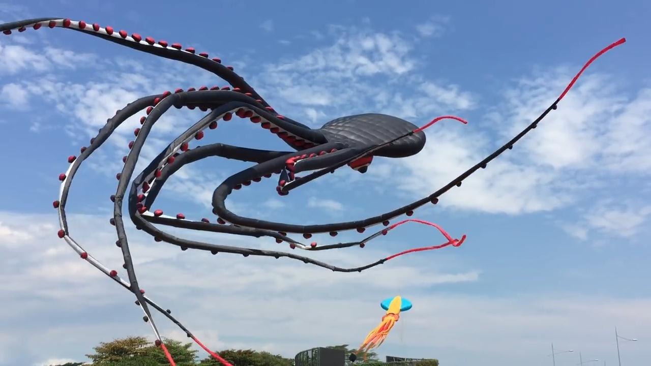 Giant octopus kite flying