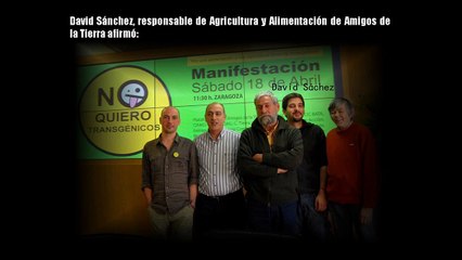 ARROZ TRANSGENICO CON GENES HUMANOS EN ESPAÑA