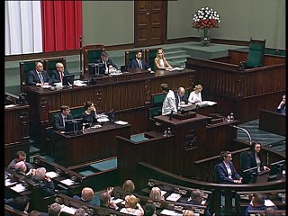 Poseł Katarzyna Lubnauer - Wystąpienie z dnia 13 maja 2016 roku.