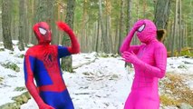 Spiderman & Pink Spidergirl Saved by SpiderBaby! Ft Frozen Elsa & T-REX in Real Life Fun Superhero!