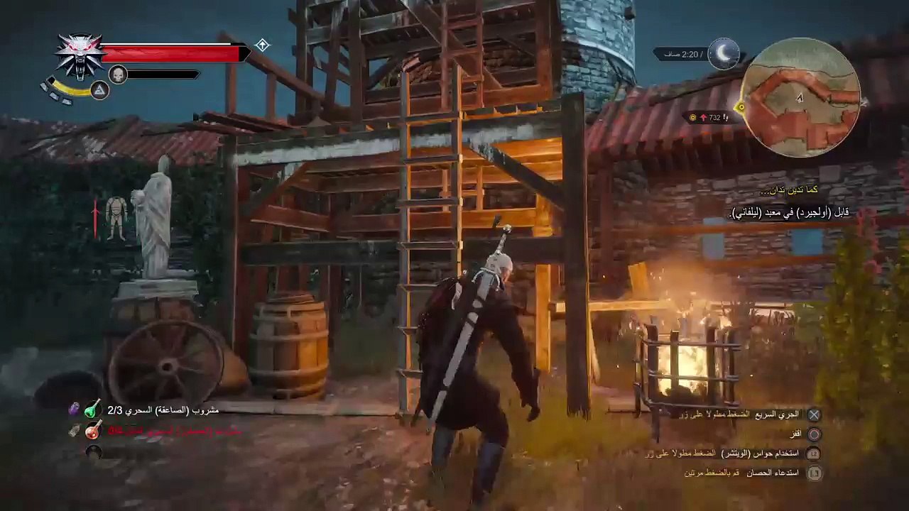 The witcher 3 (20)