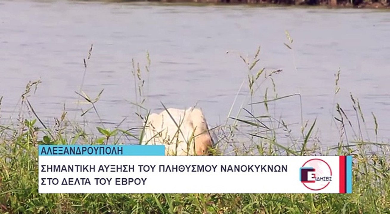 ΔΕΛΤΑ ΕΒΡΟΥ ΝΑΝΟΚΥΚΝΟΙ