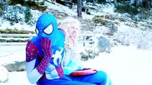 Spiderman and Frozen Elsa in Real Life! w_ Ghost & T-REX vs Pink Spidergirl Funny Superhero