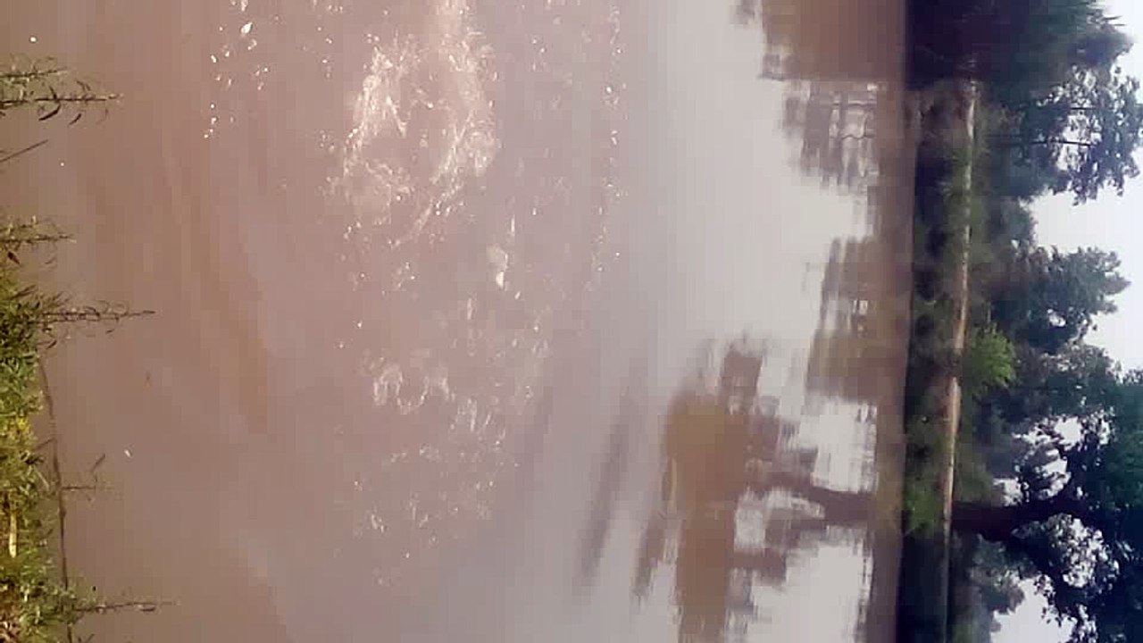 yoyo