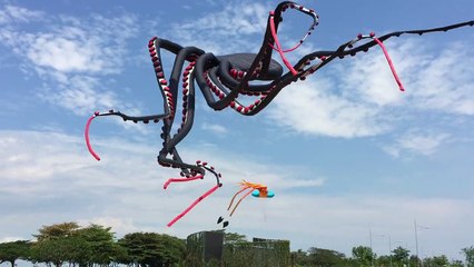 Un incroyable festival du cerfs-volant