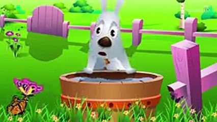 BINGO Dog Song - Nursery Rhyme With Lyrics - Cartoon Animation Rhymes & Songs for Children