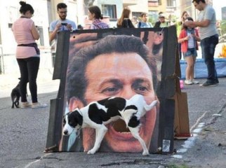 Top 10 Funny Dogs Interacting with their Environment