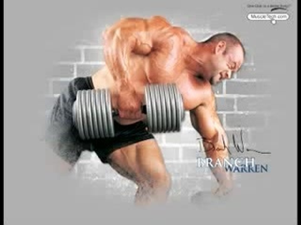 Muscle