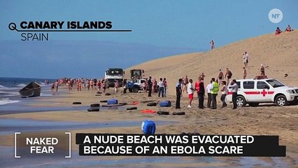 Nudist Beach - NudistDatingSites