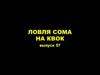 Ловля сома на квок (часть 1)