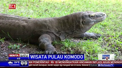 Wisata Uji Adrenalin di Pulau Komodo