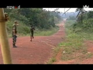 Quotidien 5  legion etrangere