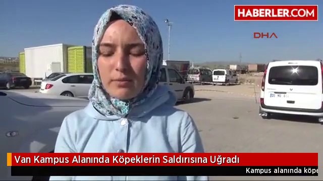 Van Kampus Alanında Köpeklerin Saldırısına Uğradı