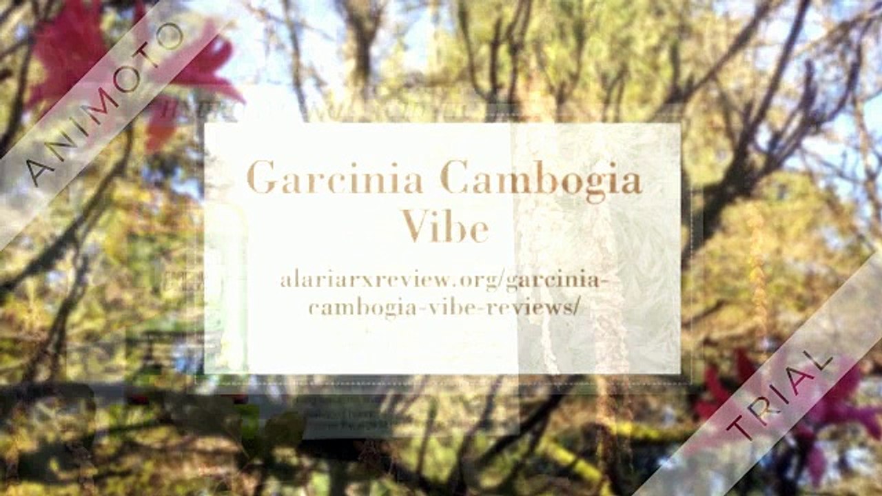 Garcinia Cambogia Vibe
