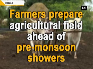 Farmers prepare agricultural field ahead of pre-monsoon showers