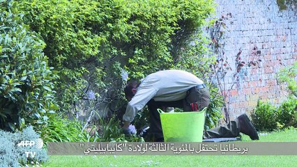 300 عام على ولادة مصمم الحدائق البريطاني "كايبابيليتي"